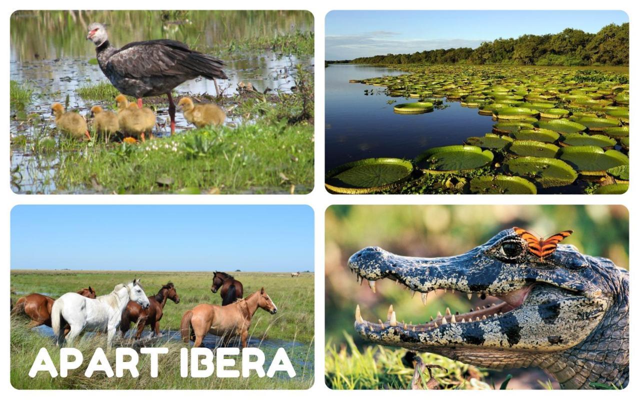 Apart Ibera *